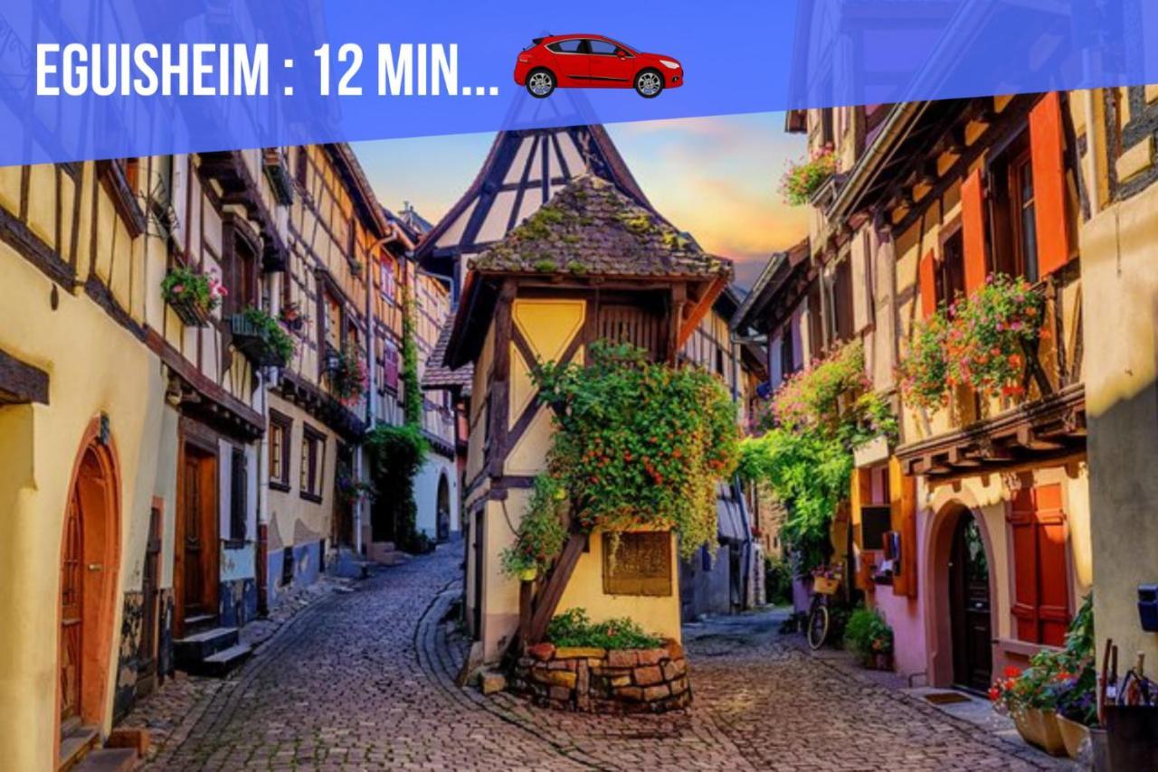Ferienwohnung Le Blue St Léon : 2 pièces COZY Lit King Size WIFI Colmar Exterior foto